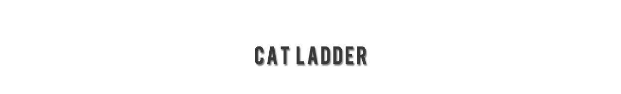 Laddermenn Ladders | L M Metals (S) Pte Ltd | Cat LADDERS