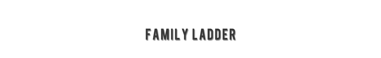 Laddermenn Ladders | L M Metals (S) Pte Ltd | Family Ladder